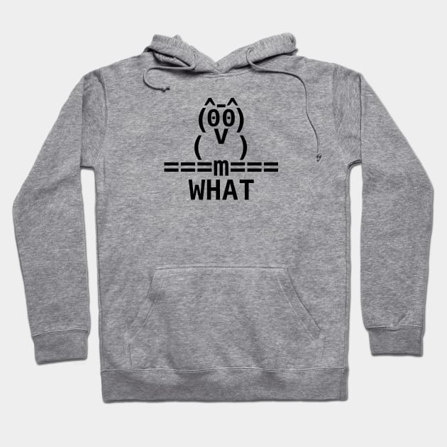 Ascii Owl Hoodie by Aunt Choppy